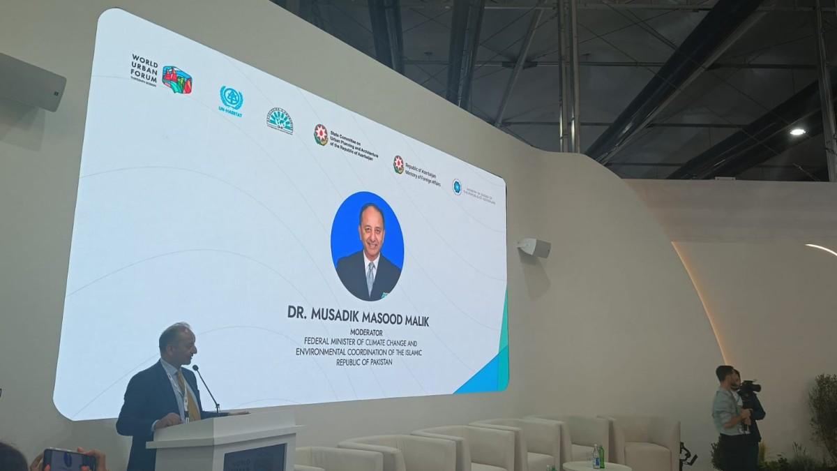 Musadik Malik: Günəş, külək və suyun inteqrasiyası enerji inqilabı yarada bilər